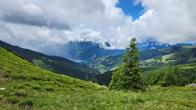 Ausblick auf Zell am See