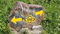 TMB Marker