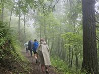 Der Weg nach Argentiere